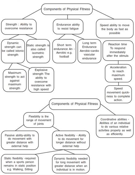 Physical Fitness Wellness and Lifestyle class 11 Notes Physical Education