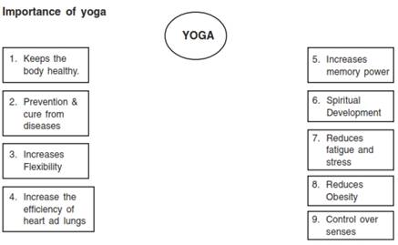 Yoga class 11 Notes Physical Education