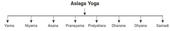 Yoga class 11 Notes Physical Education